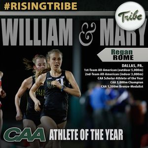 Image post by @tribeathletics on Instagram