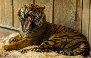 Image post by @crawmedia on Instagram