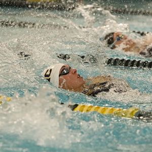 Image post by @jerb.creative on Instagram