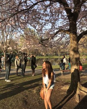 Image post by @bostonu on Instagram