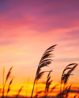 Image post by @jpotterphoto on Instagram