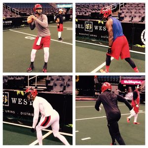 Image post by @jaxsharks on Instagram