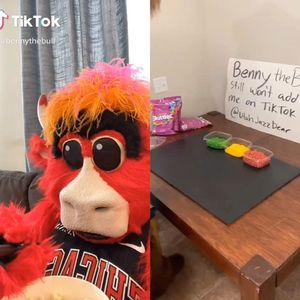 Image post by @bennythebull on Instagram