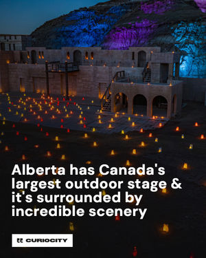 Image post by @curiocitycalgary on Instagram