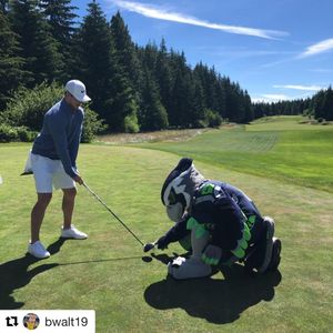 Image post by @blitztheseahawk on Instagram
