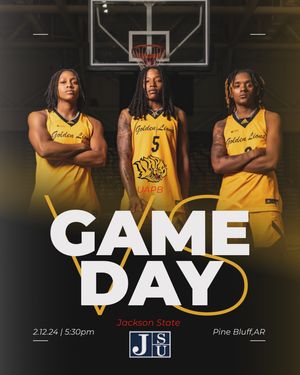 Image post by @uapblionswbb on Instagram