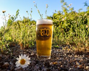 Image post by @reconbrewing on Instagram