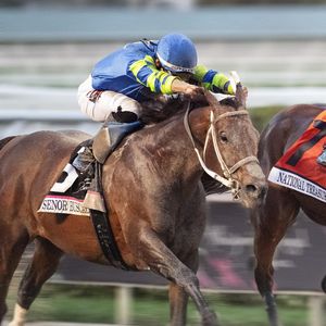 Image post by @pegasusworldcup on Instagram