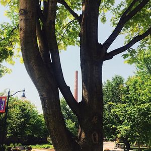 Image post by @olivetnazarene on Instagram