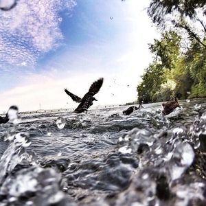 Image post by @nicktroutmankayak on Instagram