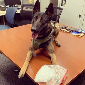 Image post by @vcsheriff on Instagram