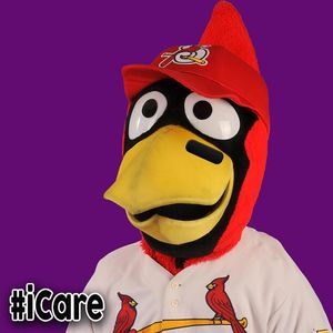 Image post by @springfield_cardinals on Instagram