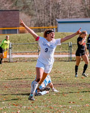 Image post by @nutimberwolves on Instagram