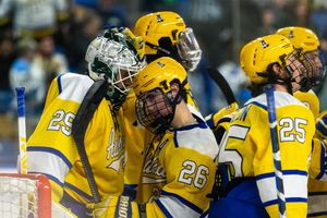 Image post by @nanookshockey on Instagram