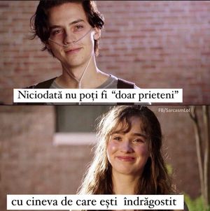 Image post by @rogojinaruflorin on Instagram