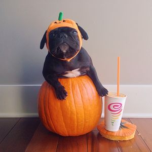 Image post by @jambajuice on Instagram