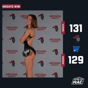 Image post by @arcadia_knights on Instagram