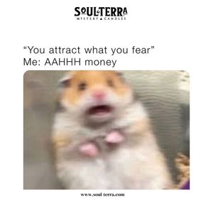 Image post by @soulterra on Instagram