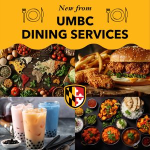Image post by @umbclife on Instagram
