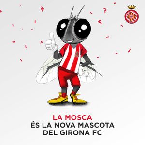 Image post by @gironafc on Instagram