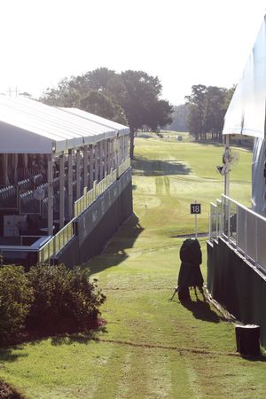 Image post by @Sanderson_Champ on Twitter