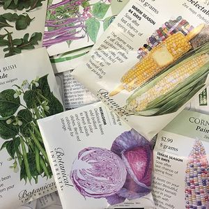 Image post by @kidsgardening on Instagram