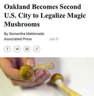 Image post by @kqed on Instagram