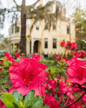 Image post by @collegeofcharleston on Instagram