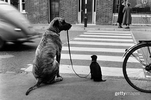Image post by @gettyimages on Instagram