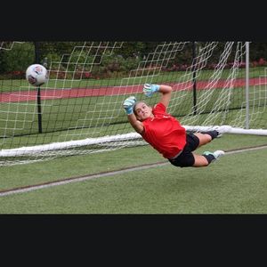 Image post by @terrierwsoc on Instagram