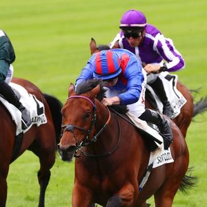 Image post by @worldhorseracing on Instagram