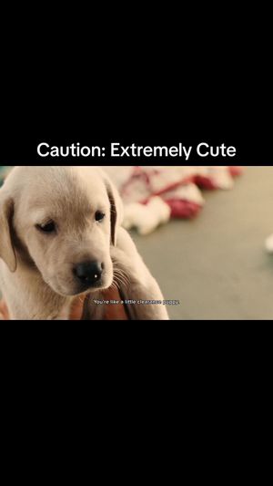 Video post by @hulu on TikTok