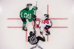Image post by @fl_everblades on Instagram
