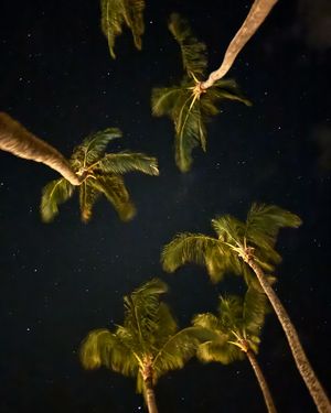Image post by @mppvacations on Instagram