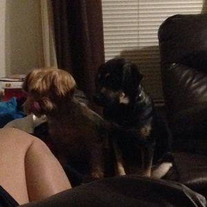 Image post by @_nomoney_11b on Instagram