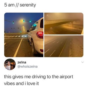 Image post by @the.virtual.bitch on Instagram
