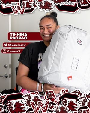 Image post by @gamecockwbb on Instagram