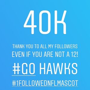 Image post by @blitztheseahawk on Instagram