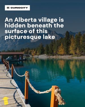 Image post by @curiocitycalgary on Instagram