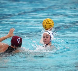 Image post by @novawaterpolo on Instagram