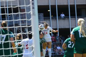 Image post by @ellieflower._ on Instagram