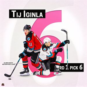 Image post by @BlackGirlHockey on Twitter