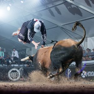 Image post by @bullfightersonly on Instagram