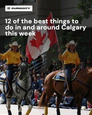 Image post by @curiocitycalgary on Instagram