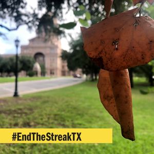 Image post by @txdot on Instagram