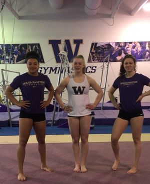 Image post by @uwgymnastics on Instagram