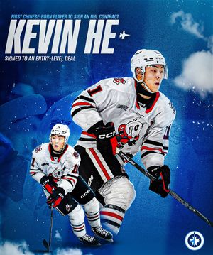 Image post by @ohlicedogs on Instagram