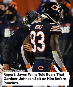 Image post by @chicago.sports.fans.daily on Instagram