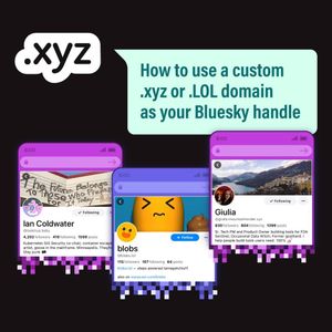 Image post by @xyz on Instagram