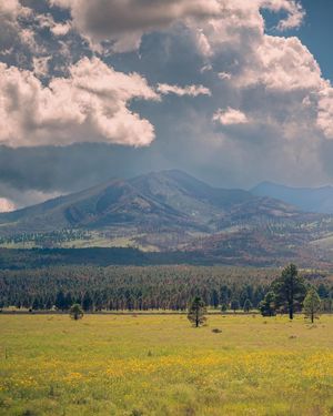 Image post by @nauflagstaff on Instagram